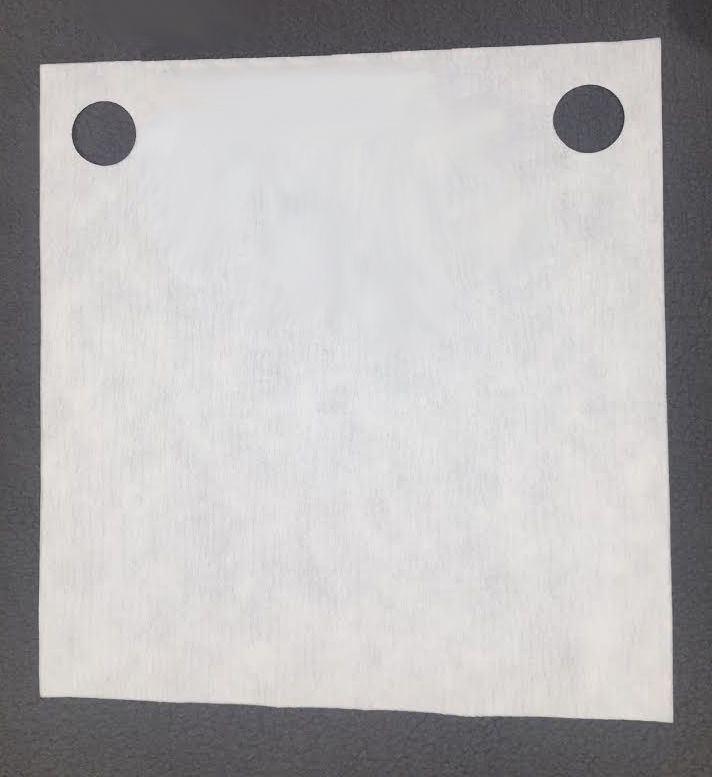 Pot bellied pig research image